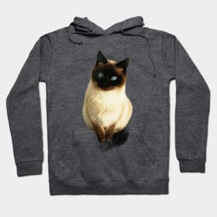 Cat Hoodie